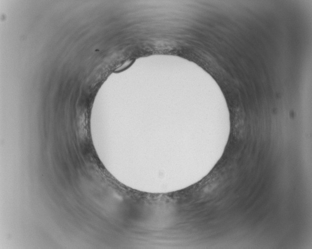 X0000052610866200507292146