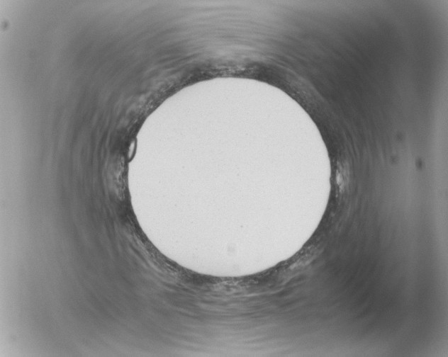 X0000052610867200507292146