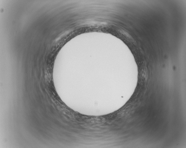 X0000052610869200507292146