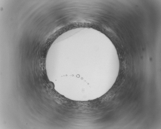 X0000052610870200507292146