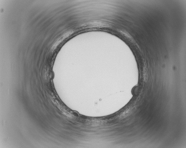 X0000052610873200507292146