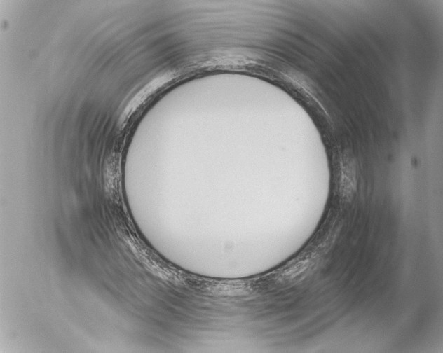 X0000052610874200507292146