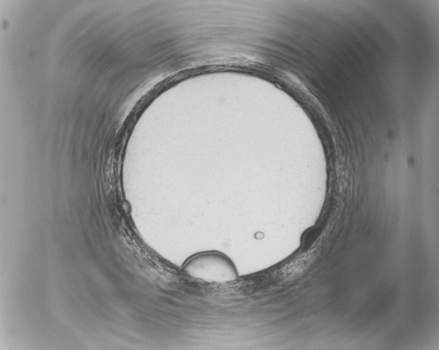 X0000052610875200507292146