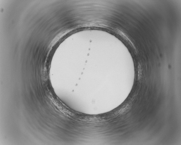 X0000052610876200507292146