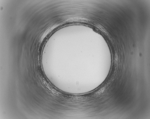 X0000052610877200507292146