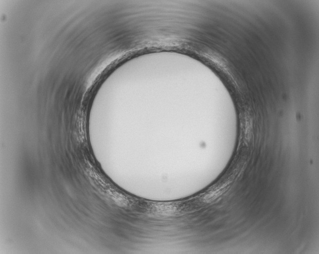 X0000052610878200507292146