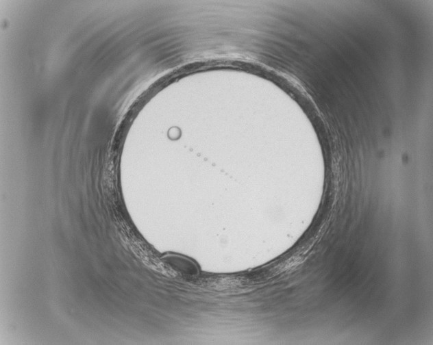 X0000052610879200507292146