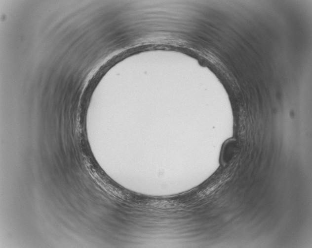 X0000052610880200507292146