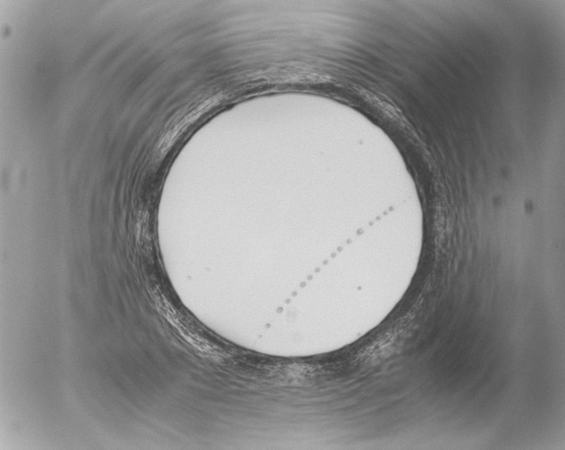 X0000052610881200507292146