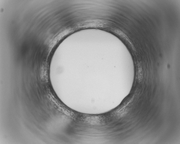 X0000052610882200507292146