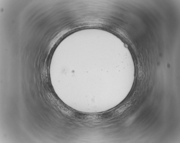 X0000052610883200507292146