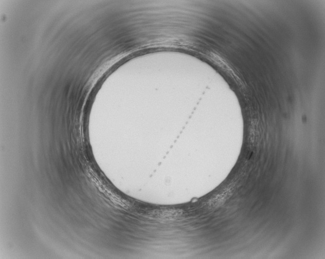 X0000052610884200507292146