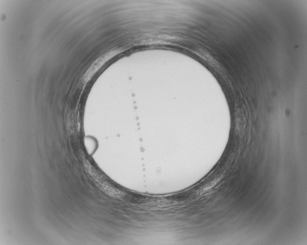 X0000052610885200507292146