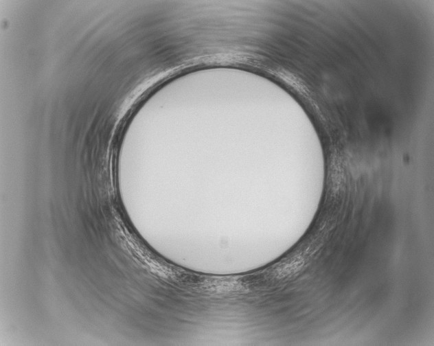 X0000052610886200507292146