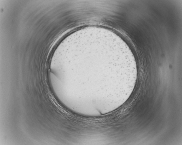 X0000052610887200507292146