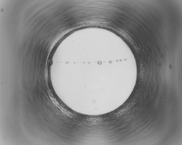 X0000052610888200507292146