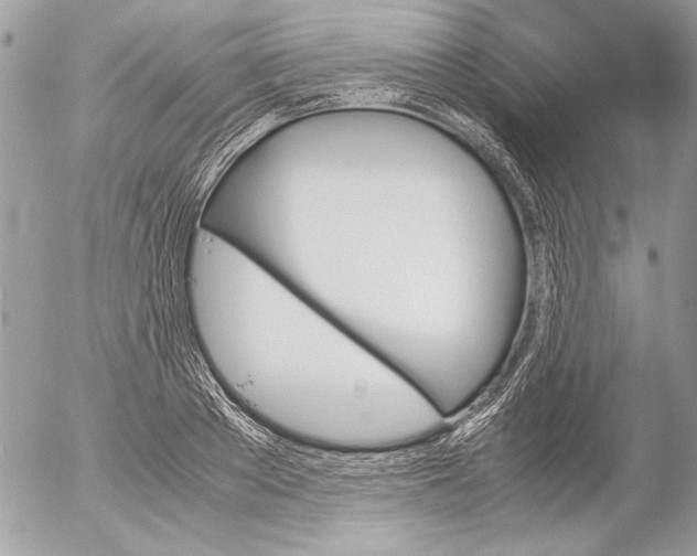 X0000052610889200507292146