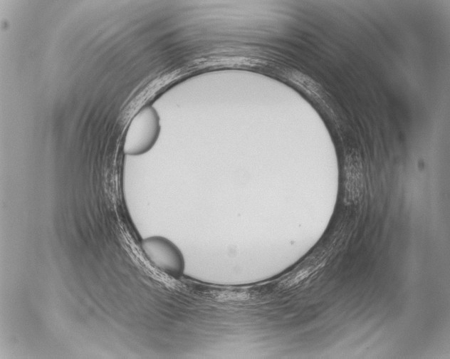 X0000052610890200507292146