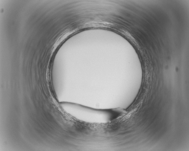 X0000052610893200507292146