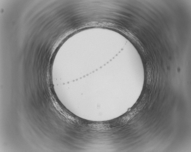 X0000052610896200507292146