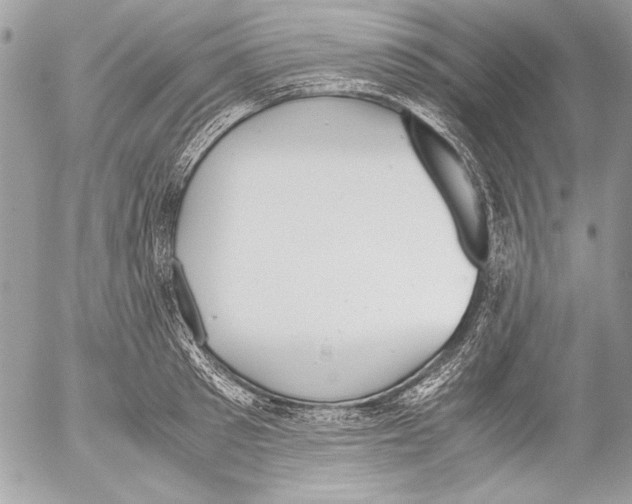 X0000052610897200507292146