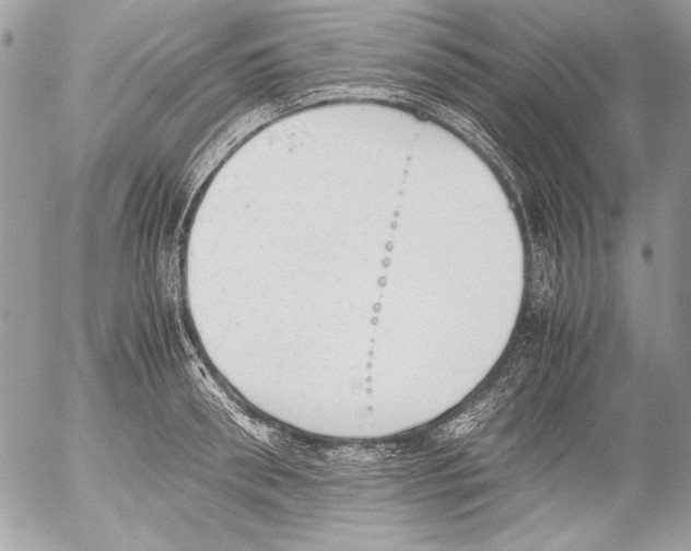 X0000052610898200507292146