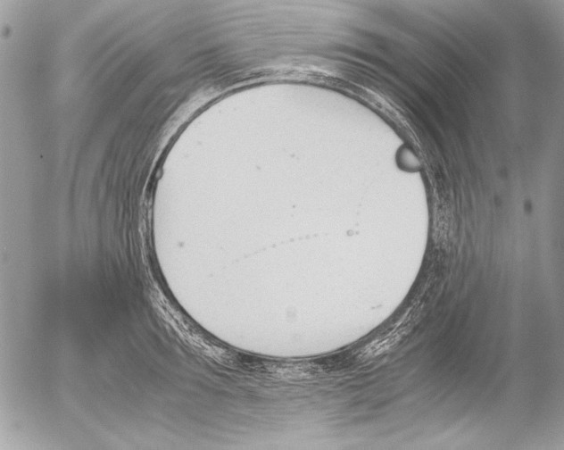 X0000052610899200507292146