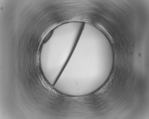 X0000052610900200507292146