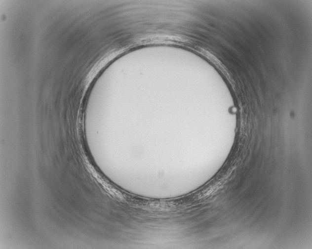 X0000052610901200507292146