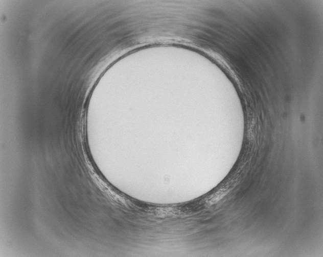 X0000052610903200507292146