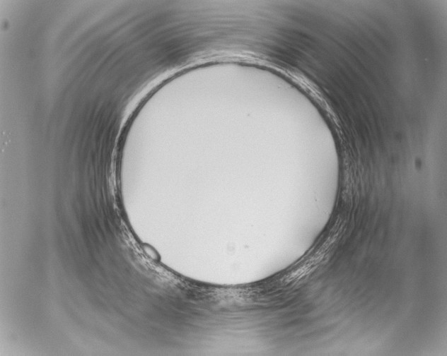 X0000052610904200507292146