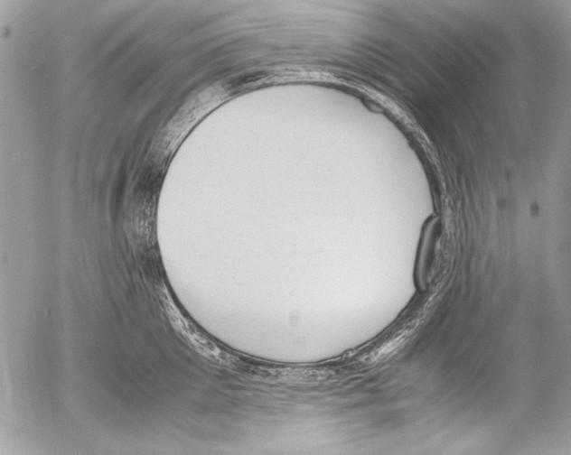 X0000052610905200507292146