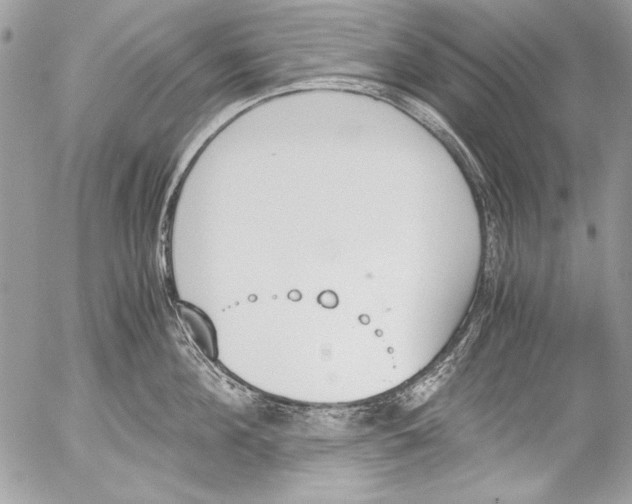 X0000052610908200507292145