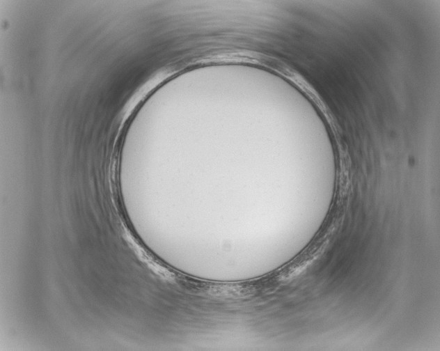 X0000052610909200507292145