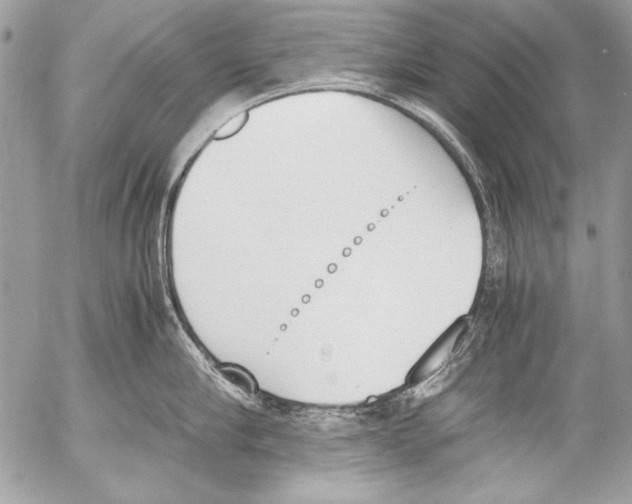 X0000052610910200507292145