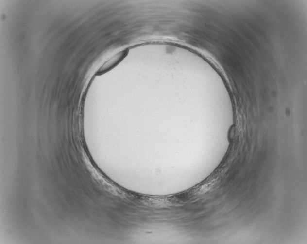 X0000052610911200507292145