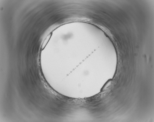 X0000052610912200507292145