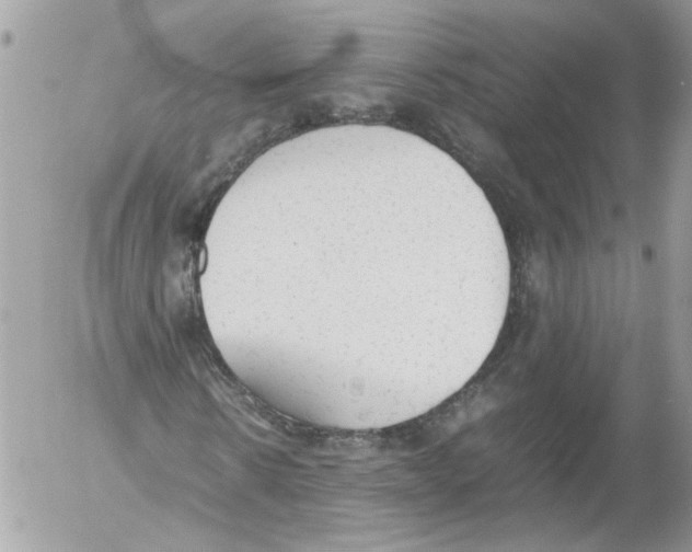 X0000052610914200507292145