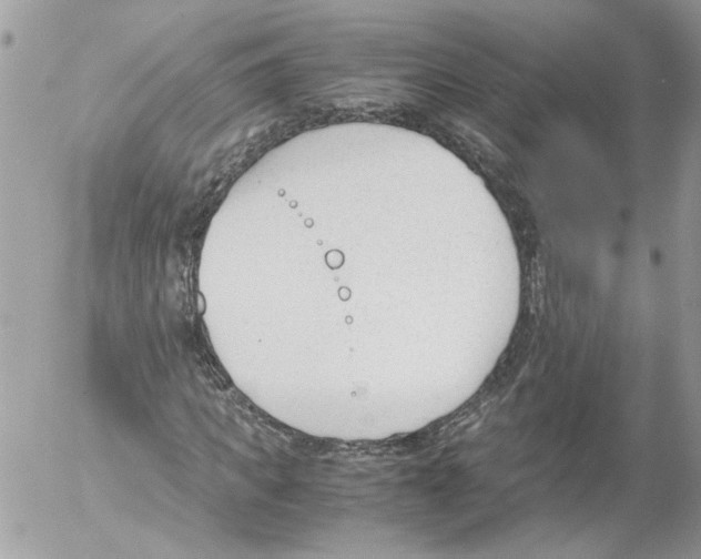 X0000052610917200507292145