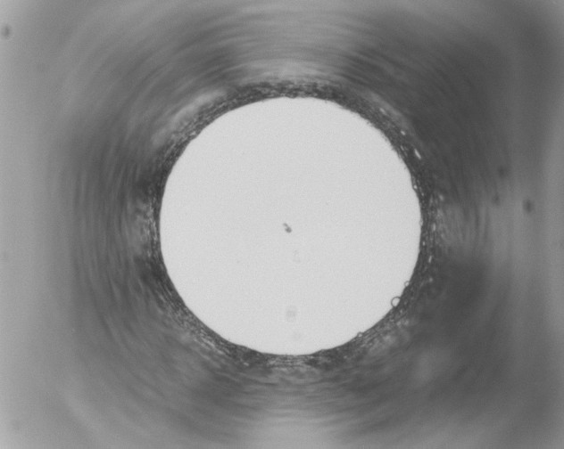 X0000052610918200507292145