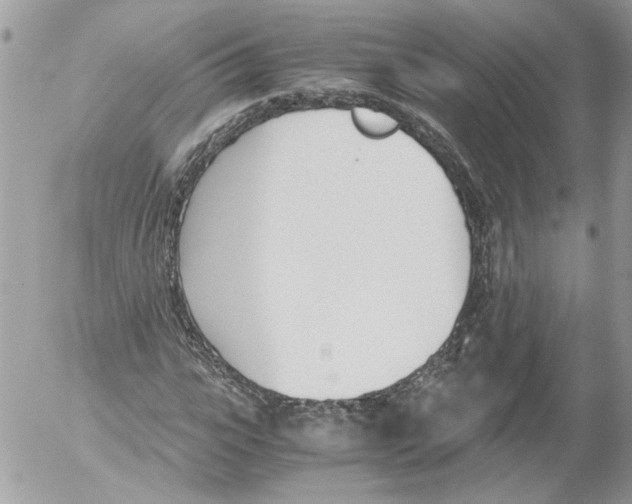 X0000052610919200507292145