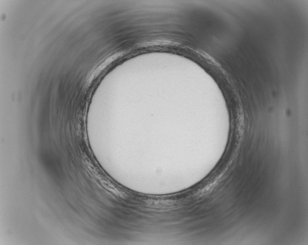 X0000052610921200507292145