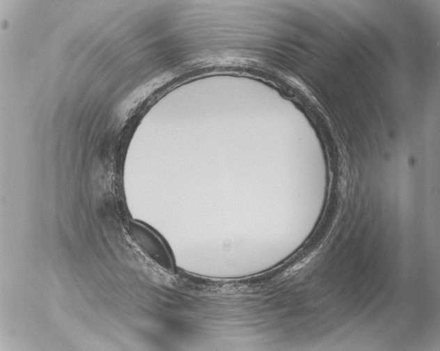 X0000052610922200507292145