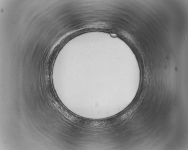 X0000052610923200507292145