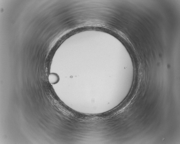 X0000052610926200507292145