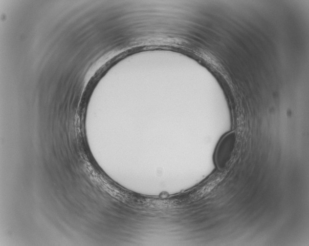 X0000052610928200507292145