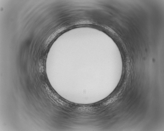 X0000052610929200507292145