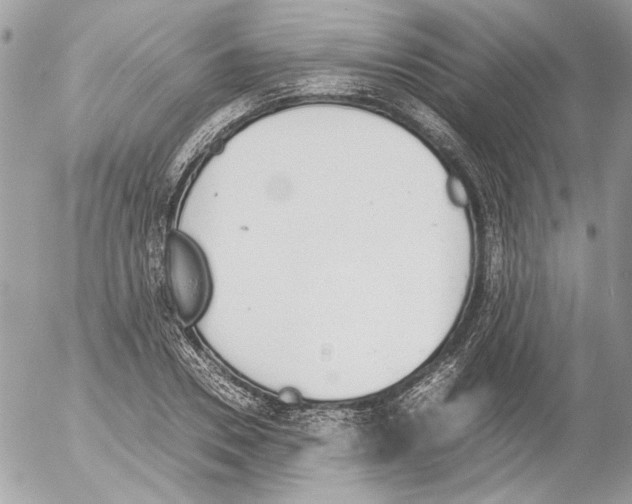 X0000052610930200507292145