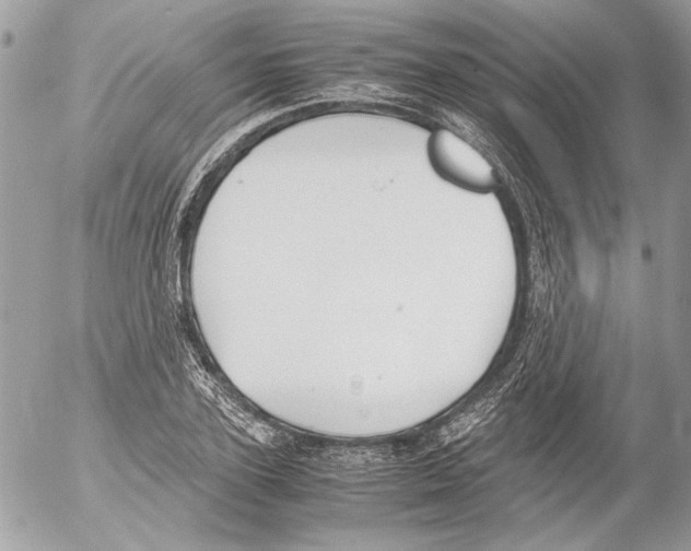 X0000052610931200507292145