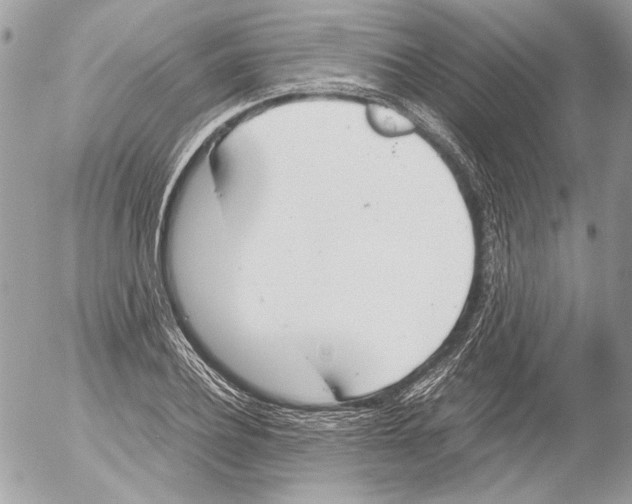 X0000052610932200507292145